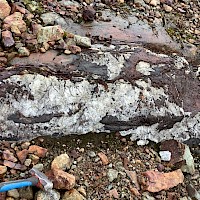 Carbonate-sulphide rich veins of the Scottie Gold Mine Property