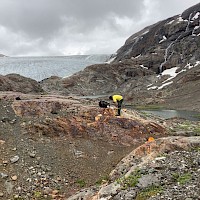 Conjugate sulphide veins located on the Bitter Creek East Claims