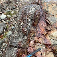 Example of sheared sulphide-rich veins of the Scottie Gold Mine