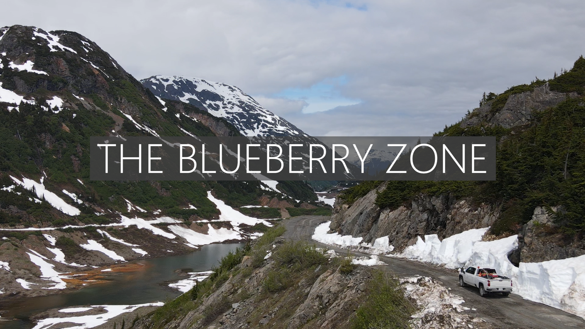 News Release | The Blueberry Zone | 12/08/2020