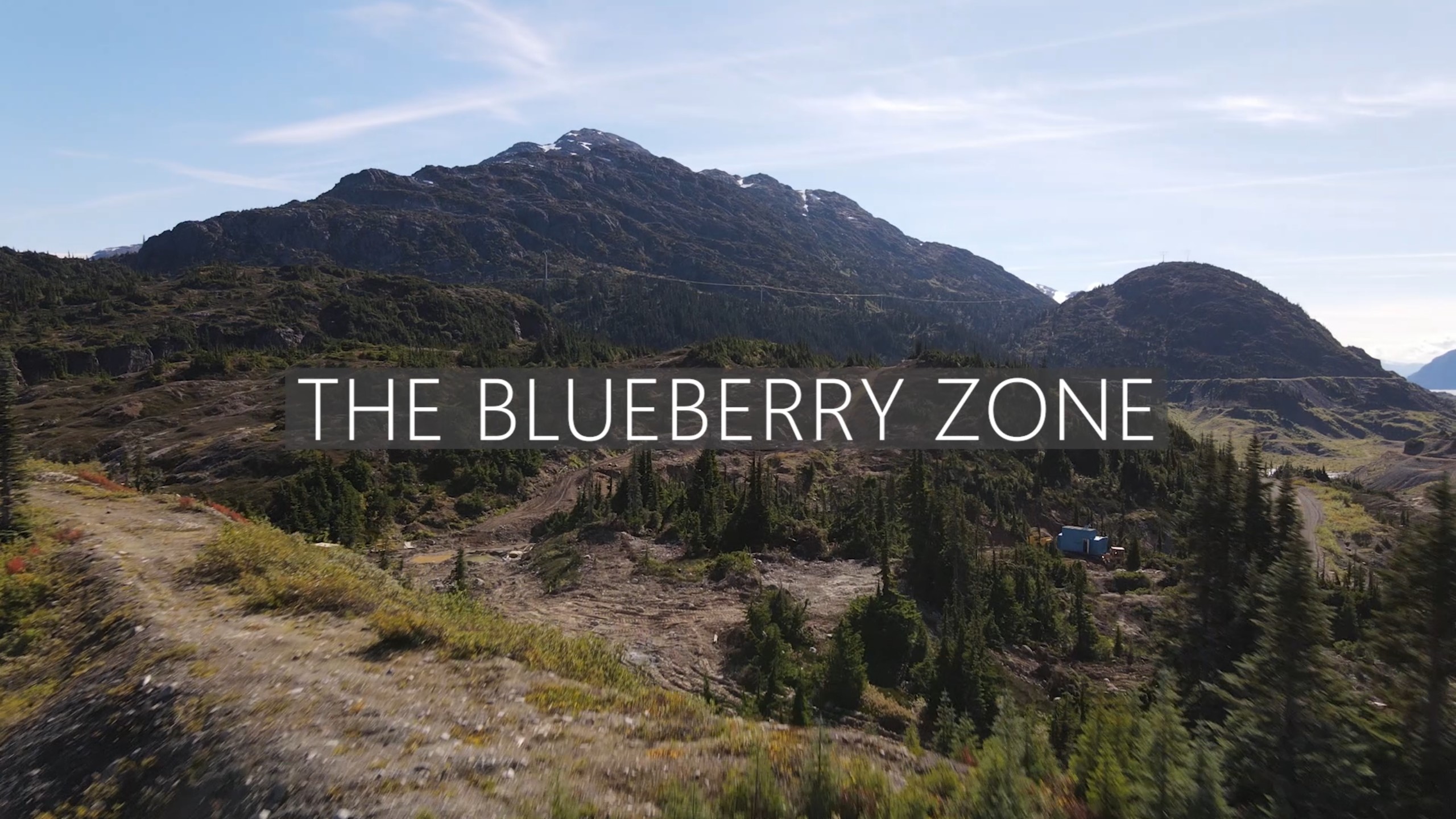 The Blueberry Zone