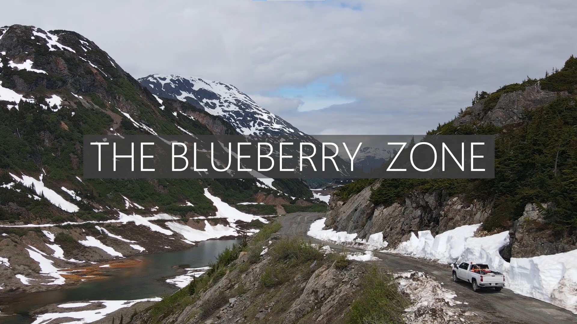 News Release | The Blueberry Zone | 02/17/2021