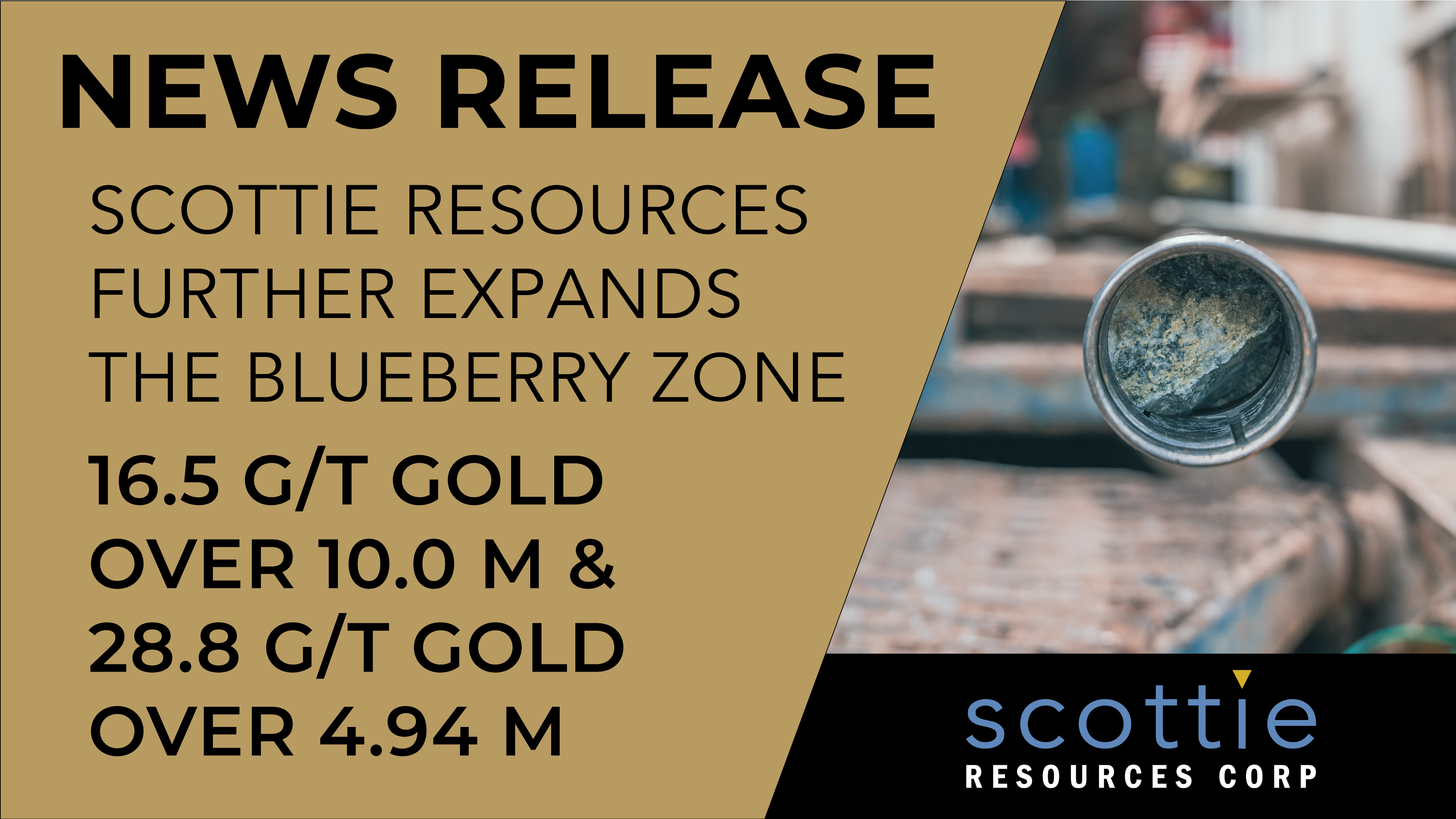 News Release | The Blueberry Zone | 2021/10/07