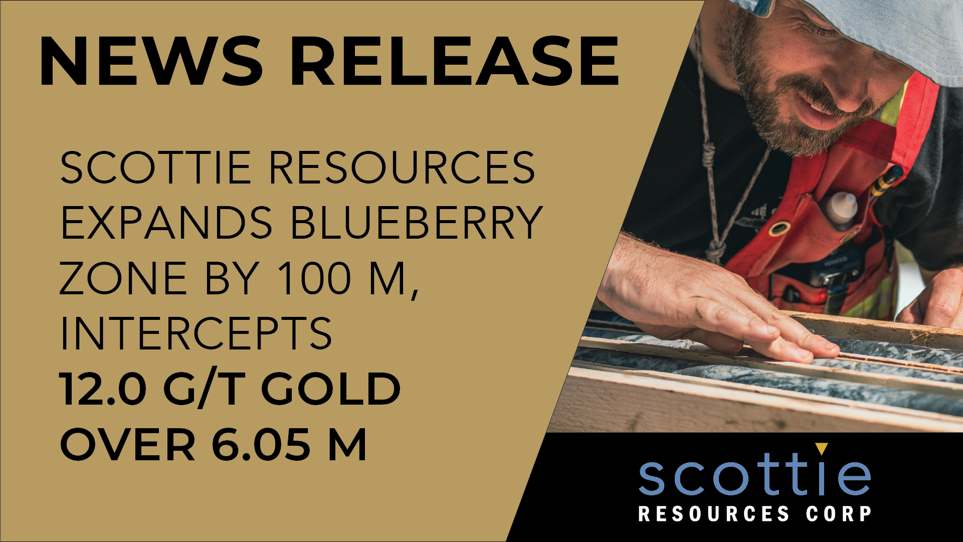 News Release | The Blueberry Zone | 2021/11/09